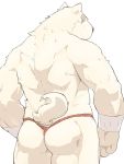  anthro athletic butt canid canine clothed clothing fundoshi fur hi_res japanese_clothing kisukemk7 male mammal muscular muscular_male presenting presenting_hindquarters simple_background solo underwear white_background white_fur 