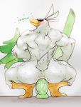  2019 absurd_res agitype01 anal anal_masturbation anal_penetration anthro anthrofied avian backsack balls bird dildo dildo_sitting hi_res looking_at_viewer looking_back male masturbation muscular muscular_male nintendo penetration pok&eacute;mon pok&eacute;mon_(species) pok&eacute;morph rear_view sex_toy shield simple_background sirfetch&#039;d smile solo video_games white_background 