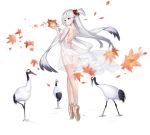  1girl alternate_costume ass autumn_leaves azur_lane backless_dress backless_outfit ballet_slippers bangs bird blue_eyes blush breasts crane_(animal) dress earrings enka_(bcat) expressionless eyebrows_visible_through_hair eyeliner floating_hair gold_footwear hair_ornament hair_scrunchie hands_up jewelry lace lace_sleeves large_breasts long_hair long_sleeves looking_at_hands makeup mole mole_under_eye no_bra no_panties official_art one_side_up red_scrunchie ripples scrunchie see-through shawl shoukaku_(azur_lane) shoukaku_(the_crane_that_dances_with_the_wind)_(azur_lane) shoulder_blades silver_hair solo standing tachi-e thighs tiptoes transparent_background white_dress wind 