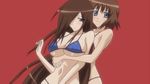  15_bishoujo_hyouryuuki animated animated_gif bikini breasts brown_hair censored gif hikari_satake kageko_satake long_hair pussy short_hair siblings sisters swimsuit undressing very_long_hair 