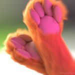  1:1 3d_(artwork) 3d_animation 4_toes ambiguous_gender animated close-up depth_of_field digital_media_(artwork) feet foot_focus fur hindpaw kazzypoof loop mammal orange_fur pawpads paws realistic seamless_loop toes 