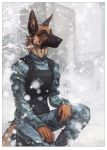  2019 5_fingers anthro black_nose brown_eyes brown_fur canid canine canis day detailed_background digital_media_(artwork) domestic_dog eyebrows fingers fur hi_res male mammal orphen-sirius outside sitting snow snowing solo 