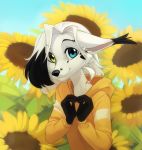  2019 5_fingers black_nose canid canine day detailed_background digital_media_(artwork) fingers hair heterochromia mammal orphen-sirius outside sky smile white_hair 