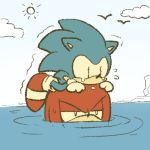  1:1 annoyed anthro black_eyes blue_fur bodily_fluids carrying chibi clothing cloud crying cub duo echidna eulipotyphlan footwear fur gloves handwear hedgehog humor low_res male mammal monotreme on_head on_top partially_submerged red_fur scared shadow_the_hedgehog shaking shoes sikai sky sonic_(series) sonic_the_hedgehog swimming tears water young 