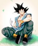  1boy beige_background black_eyes black_footwear black_hair chest clothes_lift dougi dragon_ball dragon_ball_z floating_hair full_body grass happy highres looking_at_viewer male_focus mattari_illust muscle simple_background sitting smile son_gokuu spiked_hair white_background wind wind_lift wristband 