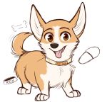  bone bowl brown_eyes canid canine canis collar domestic_dog fangs food_bowl herding_dog higglytownhero looking_at_viewer mammal pastoral_dog rex_(the_queen&#039;s_corgi) slipper tailwag the_queen&#039;s_corgi tongue tongue_out welsh_corgi 