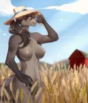  2019 black_hair black_nose breasts chewing_grass clothing detailed_background digital_media_(artwork) farm farmer female field fur hair hat headgear headwear hi_res long_hair mammal nipples nude pose procyonid pubes raccoon ranch seductive smile solo standing sunny wheat yumich 