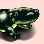  1:1 ambiguous_gender amphibian feral hi_res salamander_(amphibian) salamandre solo 