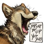  1:1 2016 alpha_channel ambiguous_gender black_fur black_nose brown_fur canid canine canis coyote digital_media_(artwork) eyes_closed feral front_view fur happy headshot_portrait kenket mammal multicolored_fur onomatopoeia open_mouth open_smile pink_tongue portrait reaction_image sharp_teeth simple_background smile solo sound_effects speech_bubble sticker teeth tongue transparent_background white_fur 