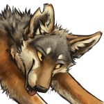  1:1 2016 alpha_channel ambiguous_gender black_eyes black_fur black_nose brown_fur bust_portrait canid canine canis coyote digital_media_(artwork) feral fur kenket looking_aside looking_up mammal multicolored_fur pink_tongue playful portrait reaction_image sharp_teeth side_view simple_background smile solo sticker tan_sclera teeth tongue tongue_out transparent_background white_fur 