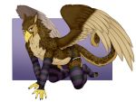  2019 5_fingers accelo all_fours anthro armwear avian beak brown_feathers brown_fur bulge claws clothing digital_media_(artwork) feathered_wings feathers fingers fur gryphon jockstrap kavik kneeling legwear leopard_spots male open_mouth purple_eyes solo spots spotted_fur toes tongue underwear wings 