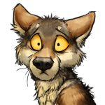  1:1 2016 :&lt; alpha_channel ambiguous_gender black_eyes black_fur black_nose brown_fur canid canine canis constricted_pupils coyote digital_media_(artwork) feral front_view fur headshot_portrait kenket looking_at_viewer mammal multicolored_fur portrait reaction_image shocked simple_background solo sticker tan_sclera transparent_background white_fur 