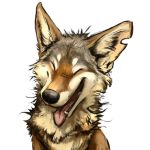  1:1 2016 :d ^o^ alpha_channel ambiguous_gender black_fur black_nose brown_fur canid canine canis coyote digital_media_(artwork) eyes_closed feral front_view fur happy headshot_portrait kenket mammal multicolored_fur open_mouth open_smile pink_tongue portrait reaction_image sharp_teeth simple_background smile solo sticker teeth tongue tongue_out transparent_background white_fur 