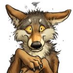  1:1 2016 :/ alpha_channel ambiguous_gender black_claws black_eyes black_fur black_nose black_pawpads brown_fur bust_portrait canid canine canis claws constricted_pupils coyote digital_media_(artwork) feral flustered front_view fur kenket mammal multicolored_fur pawpads paws portrait reaction_image sharp_teeth simple_background solo sticker tan_sclera teeth toe_claws transparent_background white_fur 