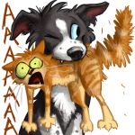  1:1 2017 3_toes alpha_channel ambiguous_gender bite black_eyes black_fur black_nose blue_sclera border_collie brown_fur brown_nose canid canine canis claws collie constricted_pupils d: digital_media_(artwork) domestic_cat domestic_dog duo felid feline felis feral front_view fur green_sclera herding_dog kenket larger_ambiguous larger_feral mammal muenstercat multicolored_fur one_eye_closed open_mouth pastoral_dog reaction_image red_tongue screaming sharp_teeth sheepdog simple_background size_difference smaller_ambiguous smaller_feral smile sound_effects sticker teeth toe_claws toes tongue toony transparent_background two_tone_fur vincollie whiskers white_claws white_fur wide_eyed 