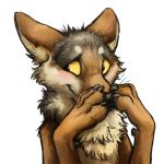  1:1 2016 4_toes alpha_channel ambiguous_gender black_claws black_eyes black_fur black_nose black_pawpads blush brown_fur bust_portrait canid canine canis claws covering_face coyote digital_media_(artwork) embarrassed feral front_view fur kenket looking_aside mammal multicolored_fur pawpads paws portrait reaction_image simple_background smile solo sticker tan_sclera toe_claws toes transparent_background white_fur 