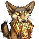  1:1 2016 alpha_channel ambiguous_gender black_eyes black_fur black_nose brown_fur canid canine canis coyote digital_media_(artwork) eating feral food front_view fur half-length_portrait kenket looking_down mammal multicolored_fur pizza portrait reaction_image simple_background smile solo sticker tan_sclera transparent_background white_fur 