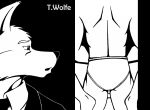  anthro canid canine clothing cuckold fox male mammal monochrome necktie suit twolfe underwear voyeur 