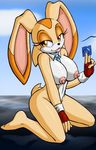  animal_ears barefoot bb breasts condom covering cream_the_rabbit feet furry large_breasts nipples nude paws smile solo sonic_the_hedgehog tail toes 