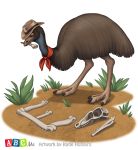  2014 3_toes ambiguous_gender avian biped bird digital_media_(artwork) emu feral hait katie_hofgard ratite solo standing toes 