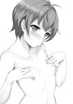  1girl bang_dream! bangs blush breasts collarbone eyebrows_visible_through_hair greyscale highres looking_at_viewer monochrome naitou_kirara nude short_hair simple_background small_breasts solo upper_body white_background 