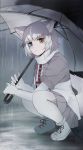  1girl animal_ear_fluff animal_ears blue_eyes commentary_request dog_(mixed_breed)_(kemono_friends) dog_ears dog_tail elbow_gloves eyebrows_visible_through_hair gloves grey_hair grey_jacket grey_legwear grey_skirt harness heterochromia highres jacket kemono_friends looking_at_viewer multicolored_hair pantyhose pleated_skirt rain scarf short_hair short_sleeves shou_goi skirt solo squatting sweater tail two-tone_jacket umbrella white_gloves white_hair white_jacket white_sweater yellow_eyes 