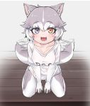  1girl :3 adapted_costume afterimage animal_ears between_legs blue_eyes blush casual collarbone dog_(mixed_breed)_(kemono_friends) dog_ears dog_tail elbow_gloves eyebrows_visible_through_hair from_above gloves grey_hair grey_legwear hair_ornament hand_between_legs heterochromia kemono_friends looking_at_viewer multicolored multicolored_hair nyifu open_mouth pantyhose shirt short_hair sitting solo speed_lines t-shirt tail tail_wagging wariza white_gloves white_hair white_legwear white_shirt yellow_eyes 