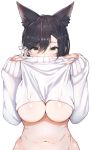  1girl animal_ears atago_(azur_lane) azur_lane bangs black_hair blush breasts brown_eyes clothes_lift covered_mouth extra_ears eyebrows_visible_through_hair hair_ribbon large_breasts lifted_by_self long_hair looking_at_viewer mappaninatta mole mole_under_eye navel paizuri_invitation ribbon simple_background sleeves_past_wrists solo stomach sweater sweater_lift swept_bangs underboob upper_body white_background white_ribbon white_sweater 