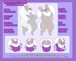  2019 anthro areola balls big_balls big_breasts big_butt big_penis big_tail bodily_fluids breasts bust_portrait butt character_name chinchillid cinccino clothed clothing crying digital_media_(artwork) ear_piercing ear_ring english_text expression_sheet eyes_closed full-length_portrait fur grey_fur herm huge_breasts huge_butt huge_penis information intersex inverted_nipples mammal measurements model_sheet nintendo nipples nude one_eye_closed open_mouth penis piercing pok&eacute;mon pok&eacute;mon_(species) portrait purple_clothing purple_shirt purple_topwear rodent shirt simple_background smile solo standing tears text thestrider thick_thighs topwear video_games white_fur yasmin_de_la_rafe 