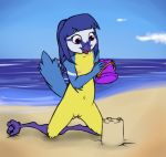 anthro avian beach beak bird bird_feet breasts cub digital_media_(artwork) female flat_chested hi_res kneeling nipples non-mammal_breasts nude outside purple_eyes pussy sand sand_castle sculpture sea seaside smile solo teal_(character) tomlad water young 