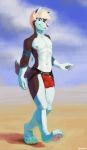  5_fingers absurd_res anthro avery black_fur bulge canid canine canis clothing cloud dipstick_tail fingers fur hair heterochromia hi_res looking_at_viewer male mammal multicolored_tail nipples outside sky solo sunhuiz underwear white_fur wolf 