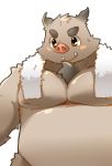  2015 absurd_res anthro belly blush hi_res male mammal moobs naotohirai nipples overweight overweight_male simple_background solo suid suina sus_(pig) towel white_background wild_boar 