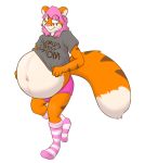  2015 anthro belly big_belly clothed clothing felid feline hi_res hyper hyper_belly hyper_pregnancy male male_pregnancy mammal navel pantherine pregnant simple_background solo theheliumtiger tiger white_background 