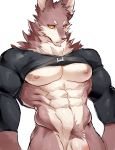  anthro bottomless canid canine canis chung0_0 clothed clothing fur hi_res humanoid_penis looking_at_viewer male mammal muscular muscular_male penis simple_background wolf yellow_eyes 