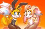  2_tails bunny_costume bunny_ears_(disambiguation) canid canine clothed clothing costume cream_the_rabbit crossdressing female fishnet fishnet_legwear fox lagomorph legwear leporid looking_at_viewer male mammal michiyoshi miles_prower multi_tail platter rabbit simple_background smile sonic_(series) star 