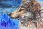  2012 ambiguous_gender black_nose brown_body brown_fur canid canine canis feral fur headshot_portrait mammal portrait red_eyes solo traditional_media_(artwork) wolf wolfroad 