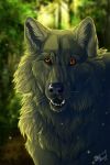  2012 ambiguous_gender blurred_background canid canine canis day detailed_background digital_media_(artwork) feral forest hi_res mammal open_mouth outside solo teeth tongue tree whiskers wolf wolfroad 