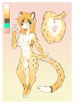  2019 5_fingers absurd_res amaryllis_(amy)_sharmila anthro anus biped breasts brown_fur brown_nose brown_spots brown_tail cheetah digital_media_(artwork) eyebrows felid feline female fingerless_(marking) fingers fur green_eyes hair hi_res inner_ear_fluff leg_markings long_hair long_tail mammal marblesoda markings multicolored_ears multicolored_fur multicolored_tail nipples nude orange_fur orange_hair orange_tail pink_nipples pussy simple_background spots spotted_fur spotted_tail yellow_fur yellow_tail 