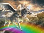  2012 4:3 =ods absurd_res brown_eyes canid canine canis day detailed_background digital_media_(artwork) feathered_wings feathers fur grey_body grey_fur hi_res hybrid mammal outside rainbow sky white_body white_feathers white_fur wings wolf wolfroad 