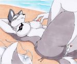  beach bikini bra breasts canid canine canis clothed clothing female female_focus fox fur grey_body grey_fur group lagomorph leporid mammal micro natasha nipples rabbit relaxation seaside solo_focus swimwear tierafoxglove topless underwear white_body white_fur wolf 