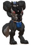  2018 abs absurd_res anthro armpit_hair balls beard biceps big_muscles black_body black_fur black_hair body_hair bulge canid canine canis chest_hair clothed clothing coach digital_media_(artwork) facial_hair fur grey_body grey_fur grisser hair hands_behind_head happy_trail hat headgear headwear hi_res huge_muscles jockstrap looking_at_viewer male mammal mika_(mikafumv) muscular muscular_male nipples paws pecs pubes simple_background skimpy smile solo standing underwear whistle whistle_(object) white_background wolf 