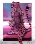  2019 5_fingers amber_eyes animal_genitalia anthro athletic balls black_body black_fur black_nose black_spots cheetah claws cloud dergepard_(artist) detailed_background digital_media_(artwork) digitigrade ears_back felid feline fingers fully_sheathed fur hi_res male mammal nude outside penis pivoted_ears rock sheath signature sitting sky smile solo spots spotted_body spotted_fur star starry_sky tan_body tan_fur toe_claws whiskers white_body white_fur 