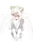  4_fingers anthro areola bath big_breasts blush bodily_fluids breasts canid canine canis domestic_dog female fingers fur grey_body grey_fur hair kemono mammal open_mouth silinder simple_background solo sweat water white_background シリンダ 