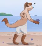  2019 ? absurd_res alsoflick beach blue_nose detailed_background hi_res human invalid_tag lutrine male mammal mustelid seaside solo standing surprise transformation 