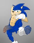  5_toes anus balls clothing eulipotyphlan feet foreskin gloves handwear hedgehog humanoid_penis legwear male mammal muscular muscular_male penis socks solo sonic_(series) sonic_the_hedgehog toes torn_clothing torn_legwear torn_socks utx-shapeshifter vein veiny_penis 