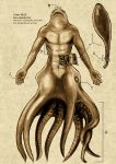  abstract_background ambiguous_gender anatomy anthro cephalopod cyan_abyss_entity english_text fish gills hybrid ink internal_organs marine membrane_(anatomy) mollusk monochrome monster navel scorpion451 scp_foundation sepia shark simple_background suction_cup tentacles text webbed_hands 