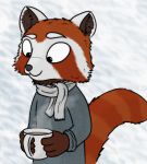  ailurid ambiguous_gender anothercolouranon anthro clothing front_view fur half-length_portrait holding_cup holding_object inner_ear_fluff mammal portrait red_body red_fur red_panda scarf simple_background solo standing sweater topwear white_body white_fur 
