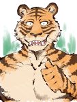  2019 41raco 5_fingers anthro beastars bill_(beastars) fangs felid fingers fur hi_res humanoid_hands male mammal multicolored_body multicolored_fur orange_body orange_fur pantherine solo striped_body striped_fur stripes tan_body tan_fur tiger tongue two_tone_body two_tone_fur 