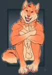  2019 abs animal_genitalia anthro arkoninu balls biceps canid canine canis chest_tuft claws collar crossed_arms digital_media_(artwork) domestic_dog fully_sheathed fur hair hi_res looking_at_viewer male mammal markings muscular muscular_male nude open_mouth orange_body orange_fur patrikthedog pawpads paws pecs pink_nose pinup pose red_eyes sheath shiba_inu simple_background sitting smile solo spitz tan_body tan_fur teeth tongue tuft 