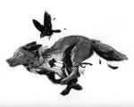  ambiguous_gender black_body black_fur canid canine duo feathered_wings feathers feral fur mammal open_mouth paws running simple_background tamberella teeth traditional_media_(artwork) white_background wings 